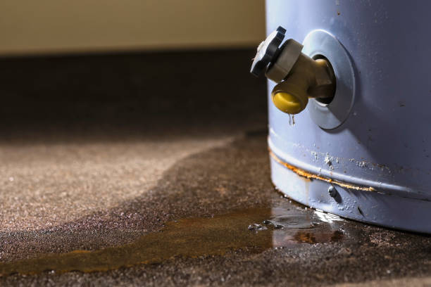 Best Carpet water damage restoration  in Saylorsburg, PA