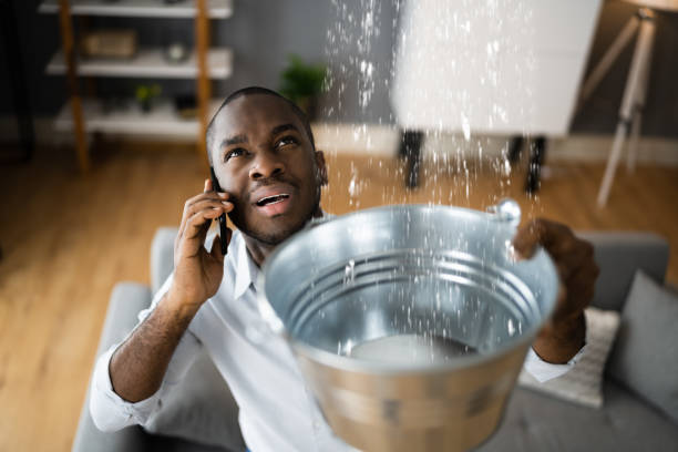 Best Local water damage restoration  in Saylorsburg, PA