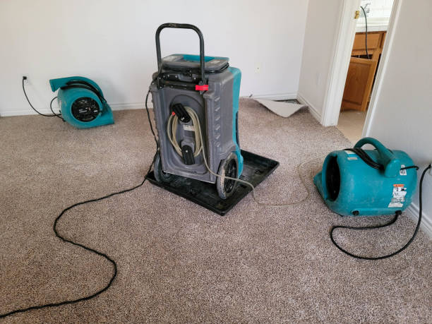 Best Professional water damage repair  in Saylorsburg, PA