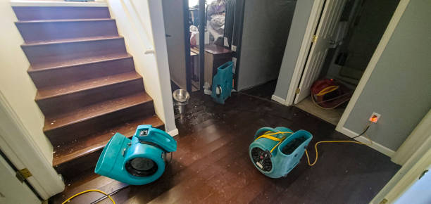 Best Mold removal after water damage  in Saylorsburg, PA