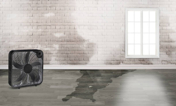 Best Flood restoration services  in Saylorsburg, PA