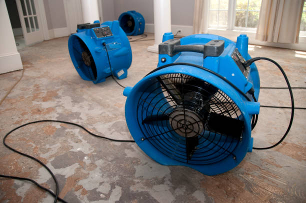 Best Sewage cleanup and water damage restoration  in Saylorsburg, PA