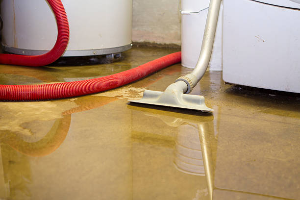 Best 24/7 water damage repair  in Saylorsburg, PA