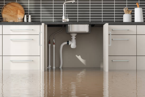 Best Flooded house restoration  in Saylorsburg, PA