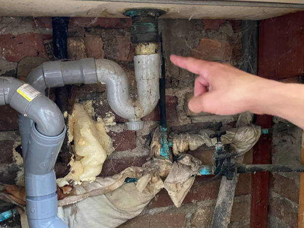 Best Water damage contractors near me  in Saylorsburg, PA