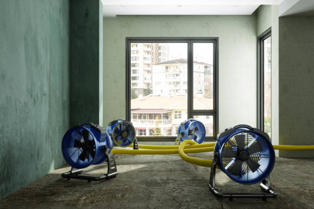 Best Fire Damage Restoration  in Saylorsburg, PA