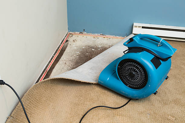 Best Sewage cleanup and water damage restoration  in Saylorsburg, PA